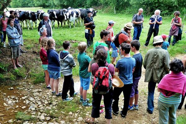 Image haute définition téléchargeable - cliquez