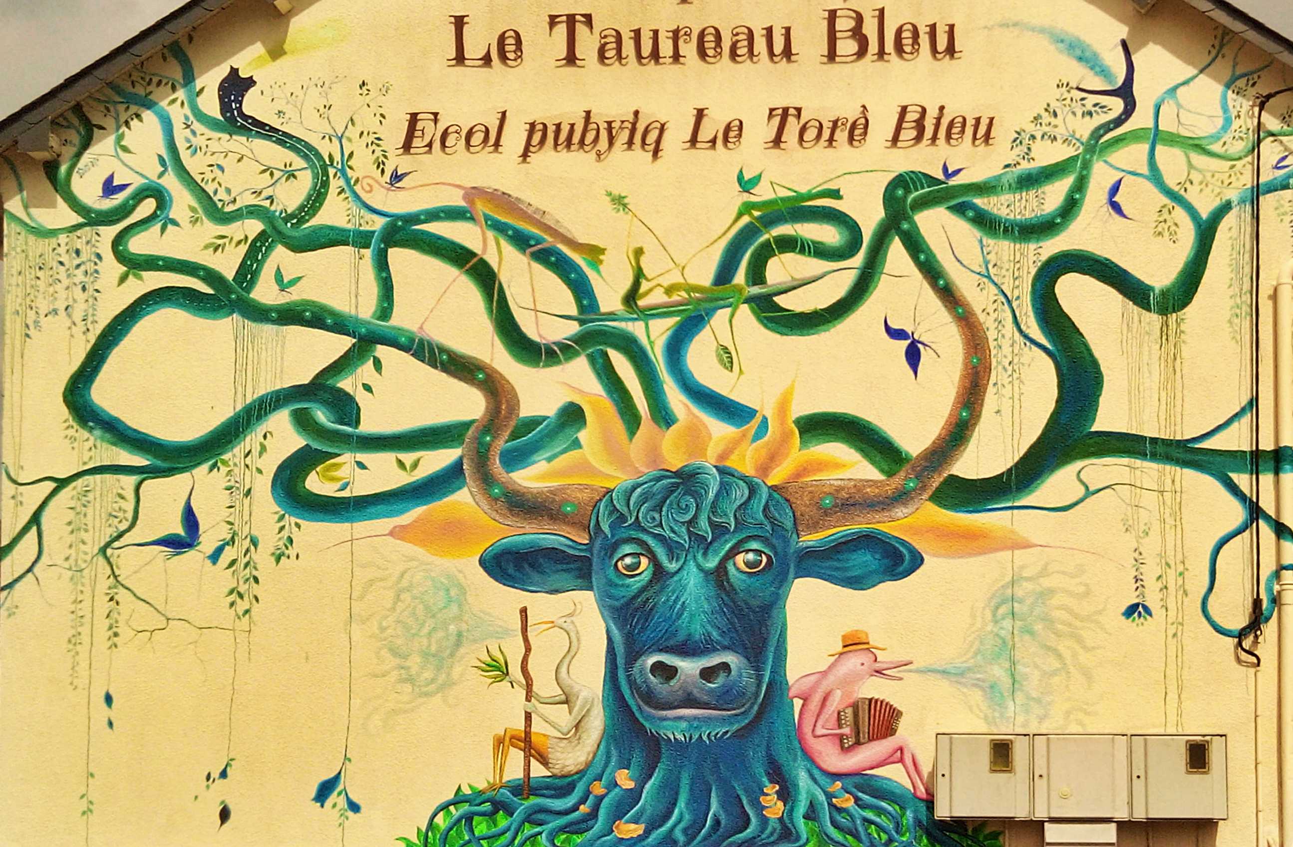 Stage Galo-Garçaille