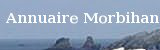 wiki:logos:partenaires:ann-morbihan.png