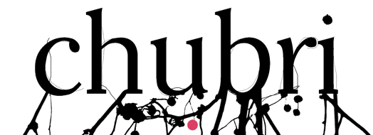 wiki:logos:partenaires:chubri.png